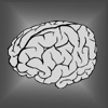 Brain